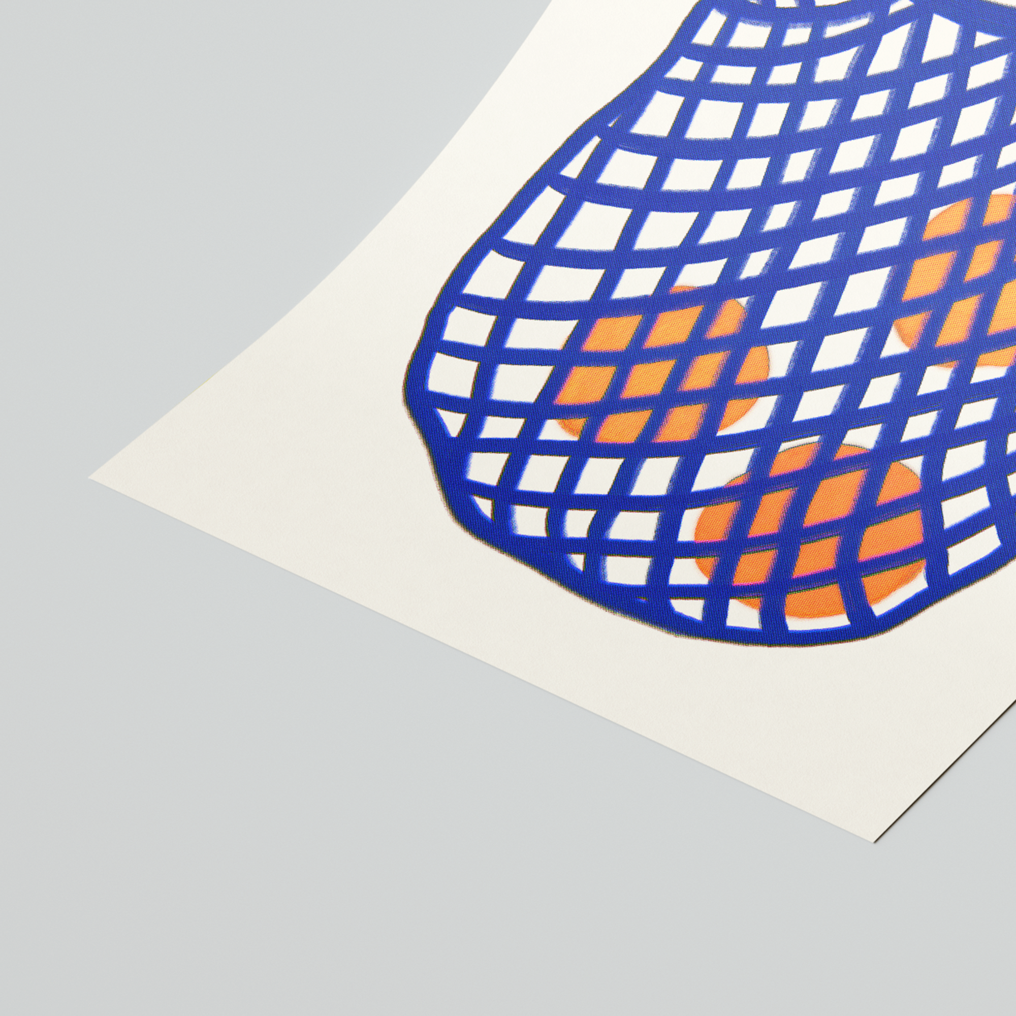 Sacoșă cu Portocale Poster